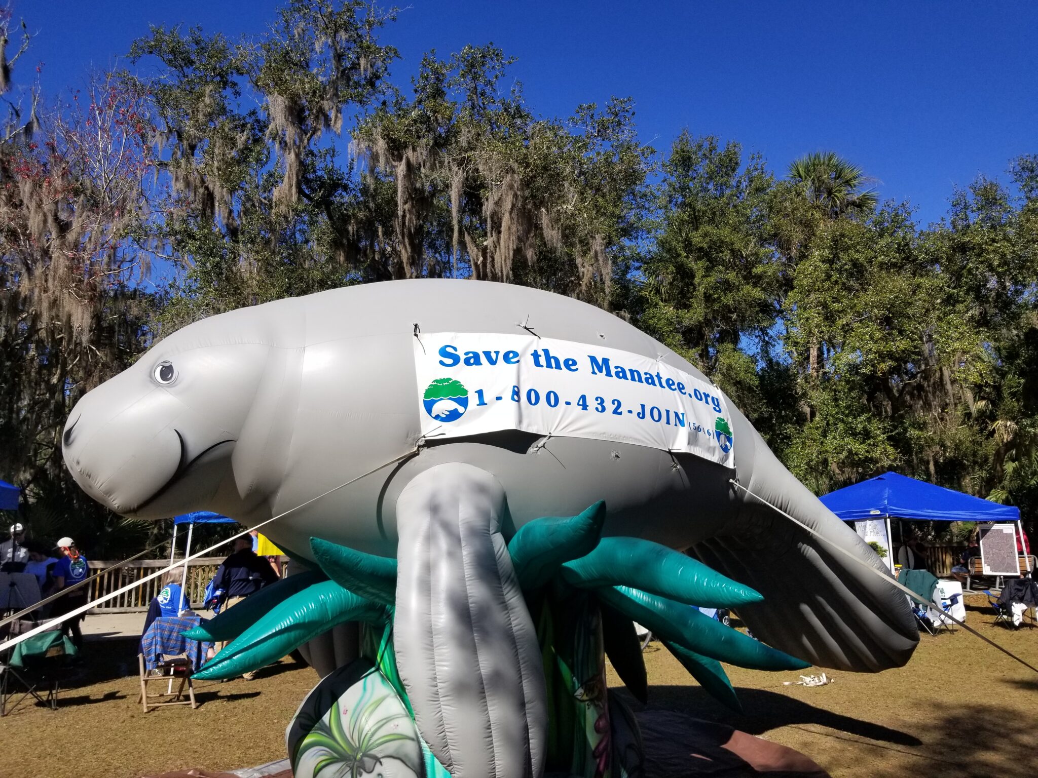 Blue Spring State Park Manatee Festival Wekiva Wild and Scenic River