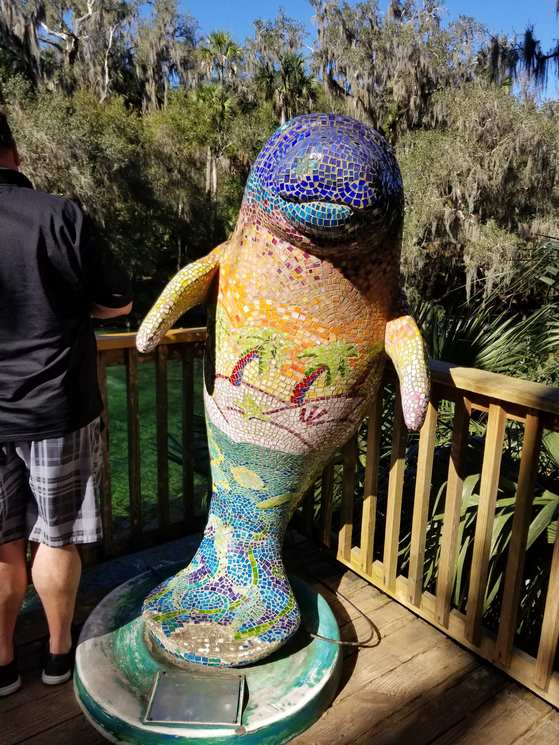 Blue Spring State Park Manatee Festival Wekiva Wild and Scenic River